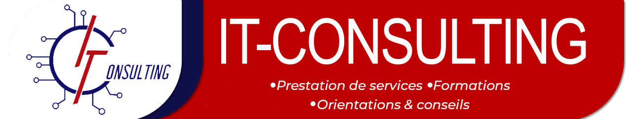 Logo itconsulting